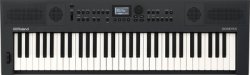 Roland GO:KEYS 5 GT